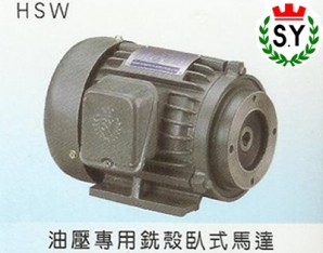 群策电机_油压专用铣壳卧式马达HSW