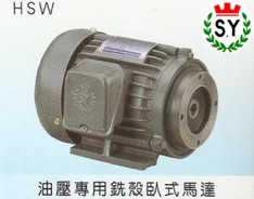 群策电机_油压专用铣壳卧式马达HSW