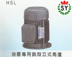 群策电机_油压专用铣壳立式马达HSL