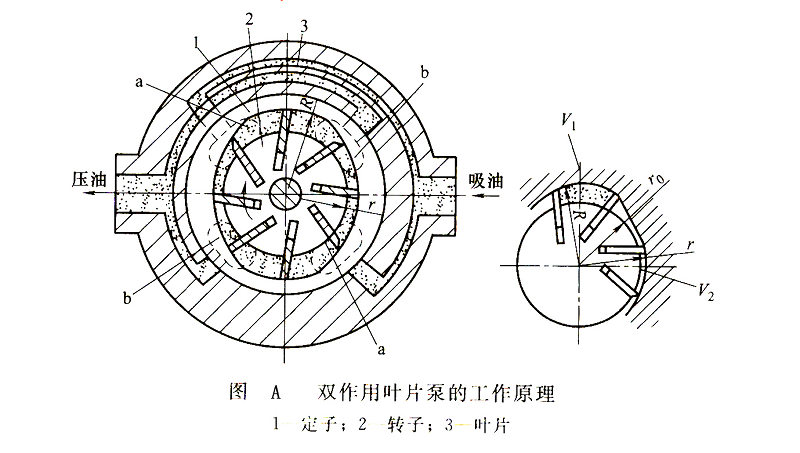 叶片泵